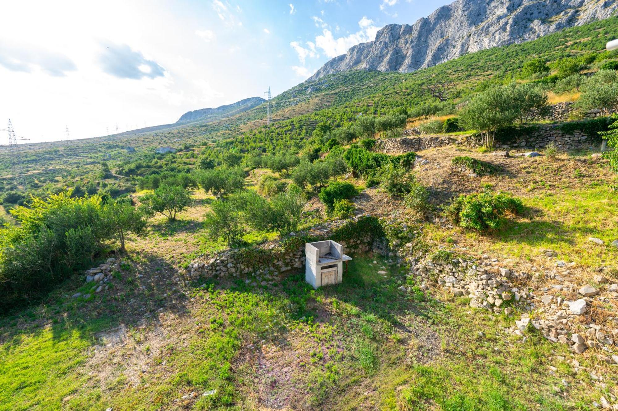 Olive Garden House In Zrnovnica With A View & Bbq Villa Ngoại thất bức ảnh